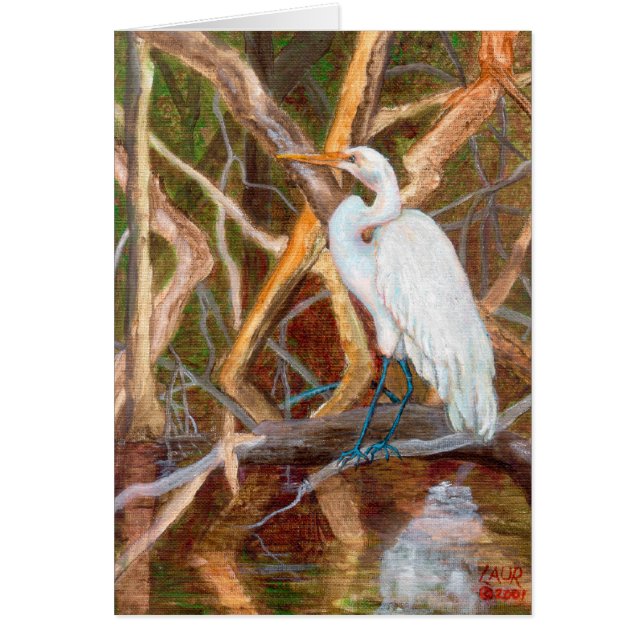 MangroveNo1Egret (Voorkant)