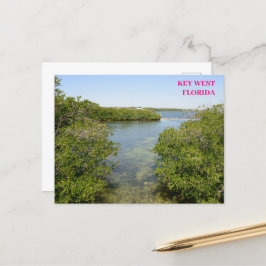 Mangroves Blue Ocean Waterway Key West Florida Briefkaart