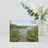 Mangroves Blue Ocean Waterway Key West Florida Briefkaart (Staand voorkant)