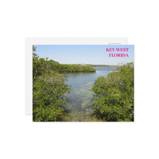 Mangroves Blue Ocean Waterway Key West Florida Briefkaart (Voorkant / Achterkant in situ)