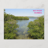 Mangroves Blue Ocean Waterway Key West Florida Briefkaart (Voorkant)