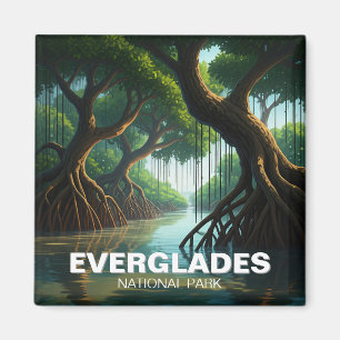 Mangroves Everglades National Park Florida Reizen Magneet