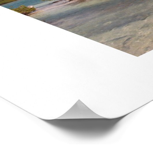 mangroves , florida poster (Hoek)