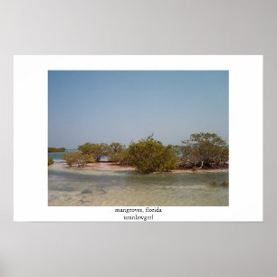 mangroves , florida poster