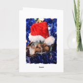 Mangschildpad met kop bekleed met santa hat feestdagen kaart (Achterkant)