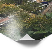 Manhattan Beach, Californië Foto Foto Afdruk (Hoek)