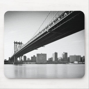 Manhattan Bridge and skyline, New York, VS. Muismat