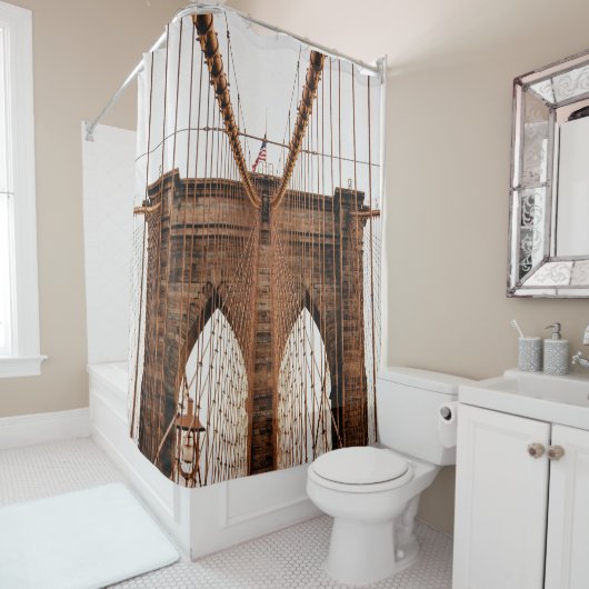 MANHATTAN BRIDGE NEW YORK DOUCHEGORDIJN (In situ)