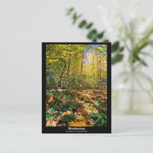 Manhattan, herfst in Central Park Briefkaart (Staand voorkant)
