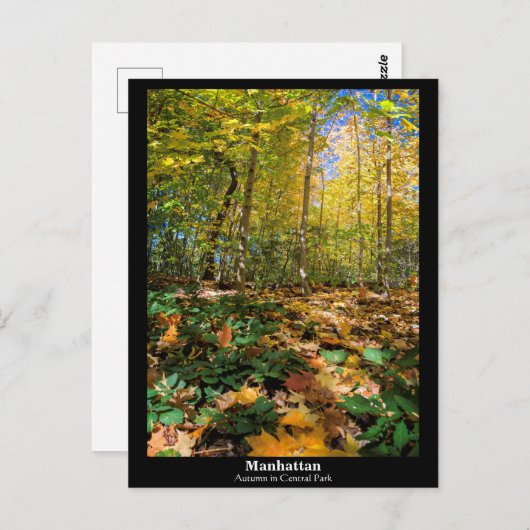 Manhattan, herfst in Central Park Briefkaart (Voorkant / Achterkant)