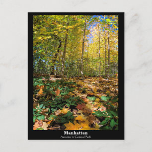 Manhattan, herfst in Central Park Briefkaart