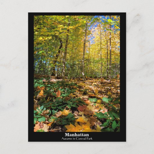 Manhattan, herfst in Central Park Briefkaart (Voorkant)