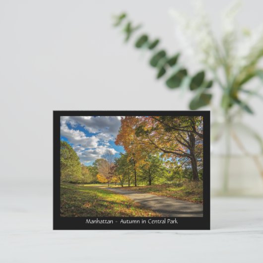Manhattan, herfst in Central Park Briefkaart (Staand voorkant)