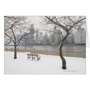 Manhattan in de winter