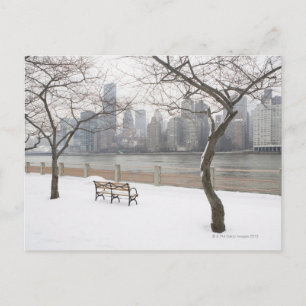 Manhattan in de winter briefkaart