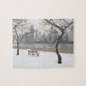 Manhattan in de winter legpuzzel (Horizontaal)