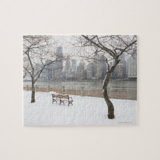Manhattan in de winter legpuzzel (Horizontaal)