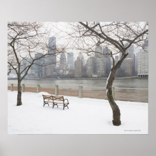 Manhattan in de winter poster