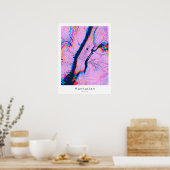 Manhattan New York City Abstracte roze kaart Poster (Keuken)