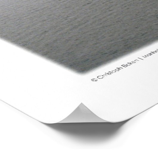 Manhattan - New York, februari 2000 Poster (Hoek)