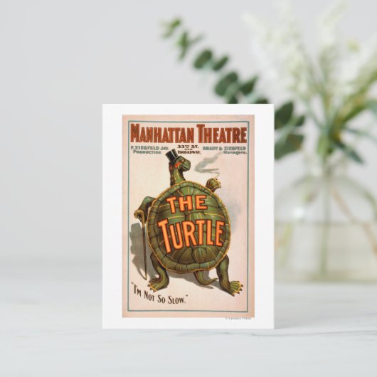 Manhattan Theater New York Broadway the Turtle Briefkaart (Staand voorkant)