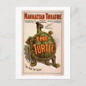 Manhattan Theater New York Broadway the Turtle Briefkaart