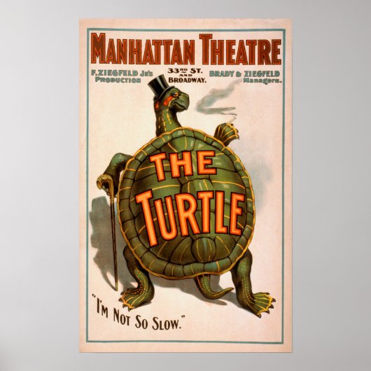 Manhattan Theater New York Broadway the Turtle Poster (Voorkant)
