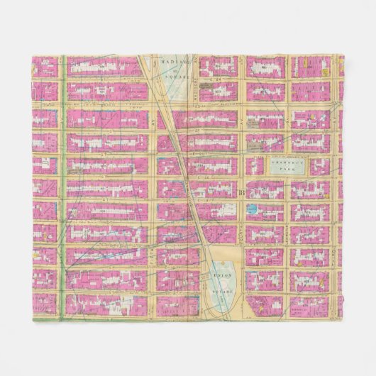 Manhatten, New York 12 Fleece Deken (Voorkant (Horizontaal))