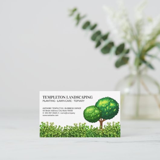 Manicured Tree | STRUIK | Landschap Visitekaartje (Staand voorkant)