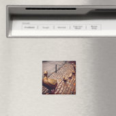 Manier maken van drijfnetten magneet (Insitu (Vaatwasser))