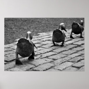 Manier maken voor slangen poster