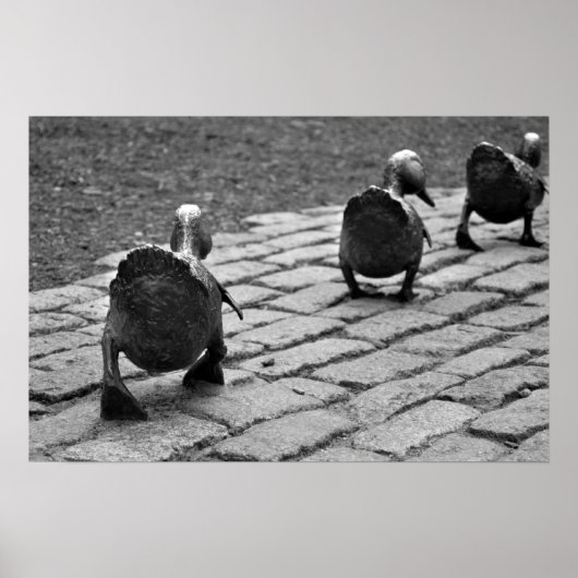 Manier maken voor slangen poster (Voorkant)