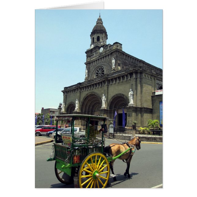 manila cathedraal paard (Voorkant)