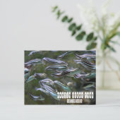 Manila Ocean Park Briefkaart (Staand voorkant)