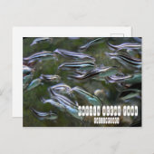 Manila Ocean Park Briefkaart (Voorkant / Achterkant)