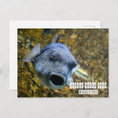 Manila Ocean Park op de Filipijnen Briefkaart (Voorkant / Achterkant)