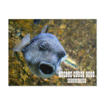 Manila Ocean Park op de Filipijnen