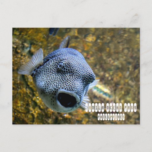 Manila Ocean Park op de Filipijnen Briefkaart (Voorkant)