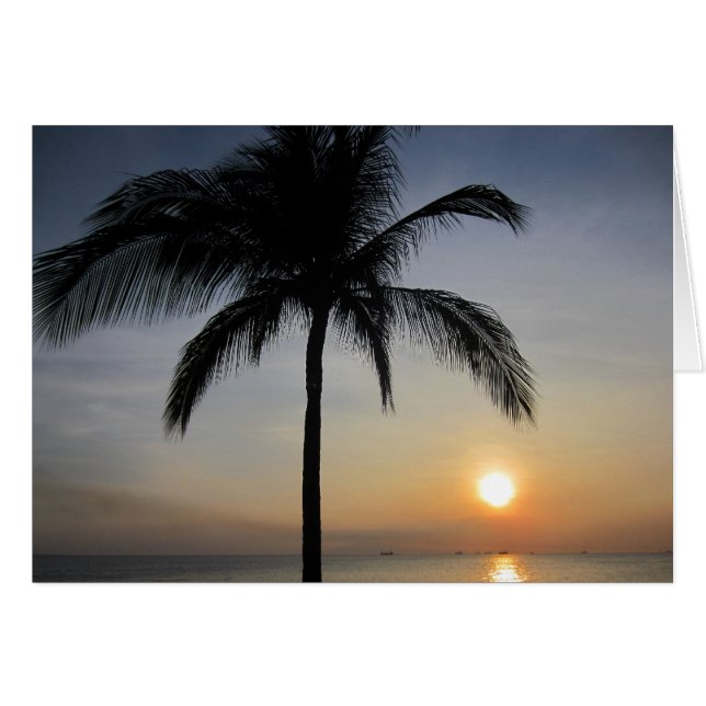 manilla sunset palm (Voorkant Horizontaal)