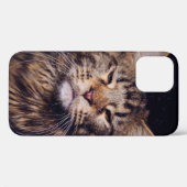 maninegeld op een zwarte achtergrond - jongdier , Case-Mate iPhone case (Achterkant (horizontaal))
