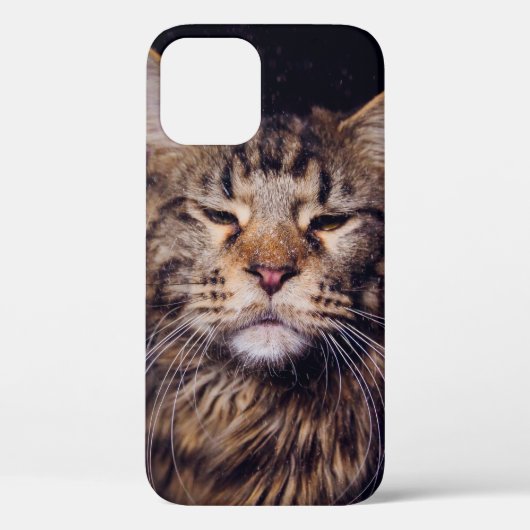 maninegeld op een zwarte achtergrond - jongdier , Case-Mate iPhone case (Achterkant)