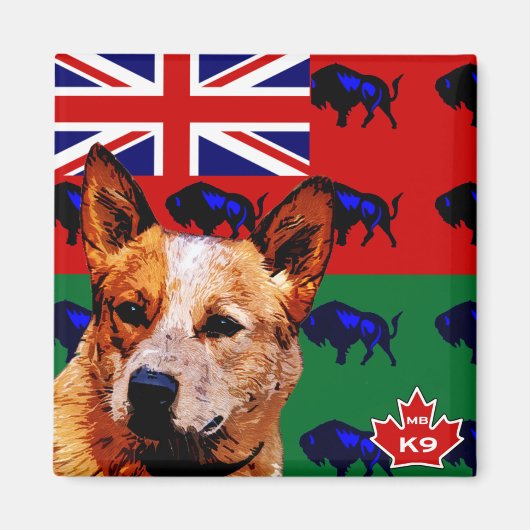 Manitoba Australisch vee hond Magneet (Voorkant)