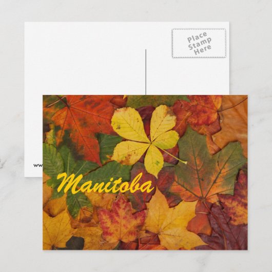 Manitoba Autumn Leaves Briefkaart (Voorkant / Achterkant)