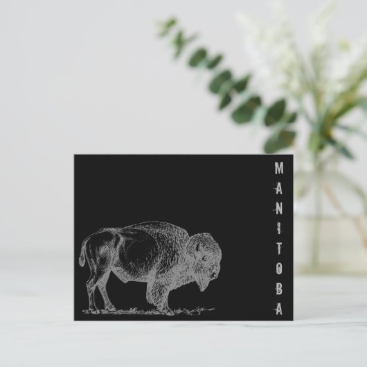Manitoba Bison Briefkaart (Staand voorkant)
