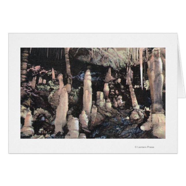 Manitou Springs, Colorado (Voorkant Horizontaal)