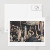 Manitou Springs, Colorado Briefkaart (Voorkant / Achterkant)