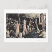 Manitou Springs, Colorado Briefkaart (Voorkant)