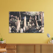 Manitou Springs, Colorado Canvas Afdruk (Insitu (Woonkamer))