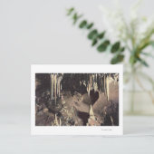 Manitou Springs, Colorado - de Bridal-kamer Briefkaart (Staand voorkant)