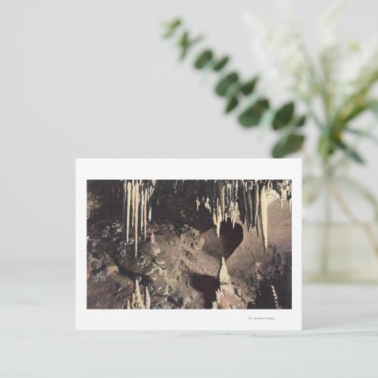 Manitou Springs, Colorado - de Bridal-kamer Briefkaart (Staand voorkant)